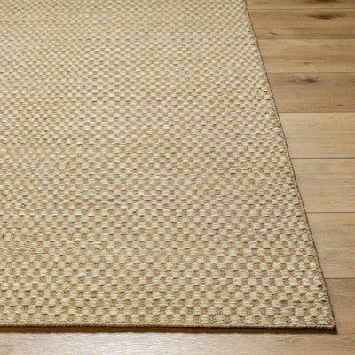 Ayers Beige Area Rug