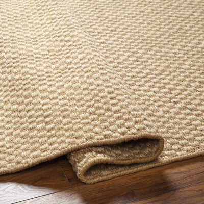 Ayers Beige Area Rug