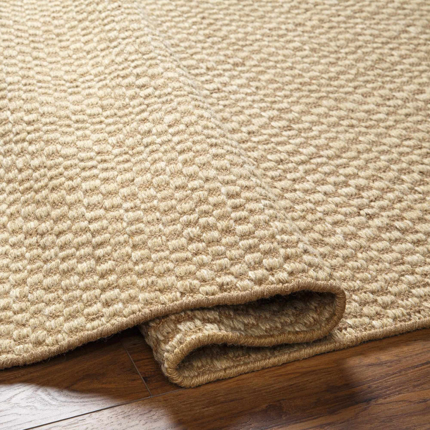 Ayers Beige Area Rug - Clearance