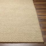 Ayers Beige Area Rug - Clearance