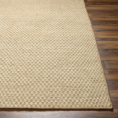 Ayers Beige Area Rug