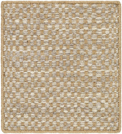 Ayers Beige & Gray Area Rug