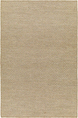Ayers Beige & Gray Area Rug - Clearance