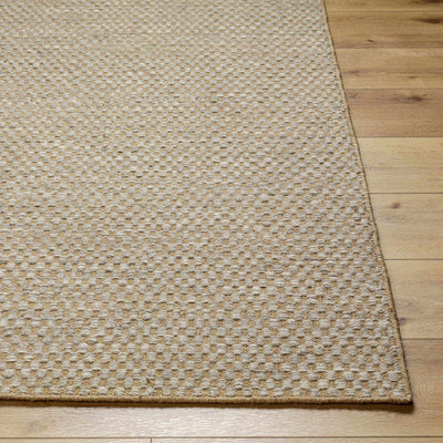 Ayers Beige & Gray Area Rug