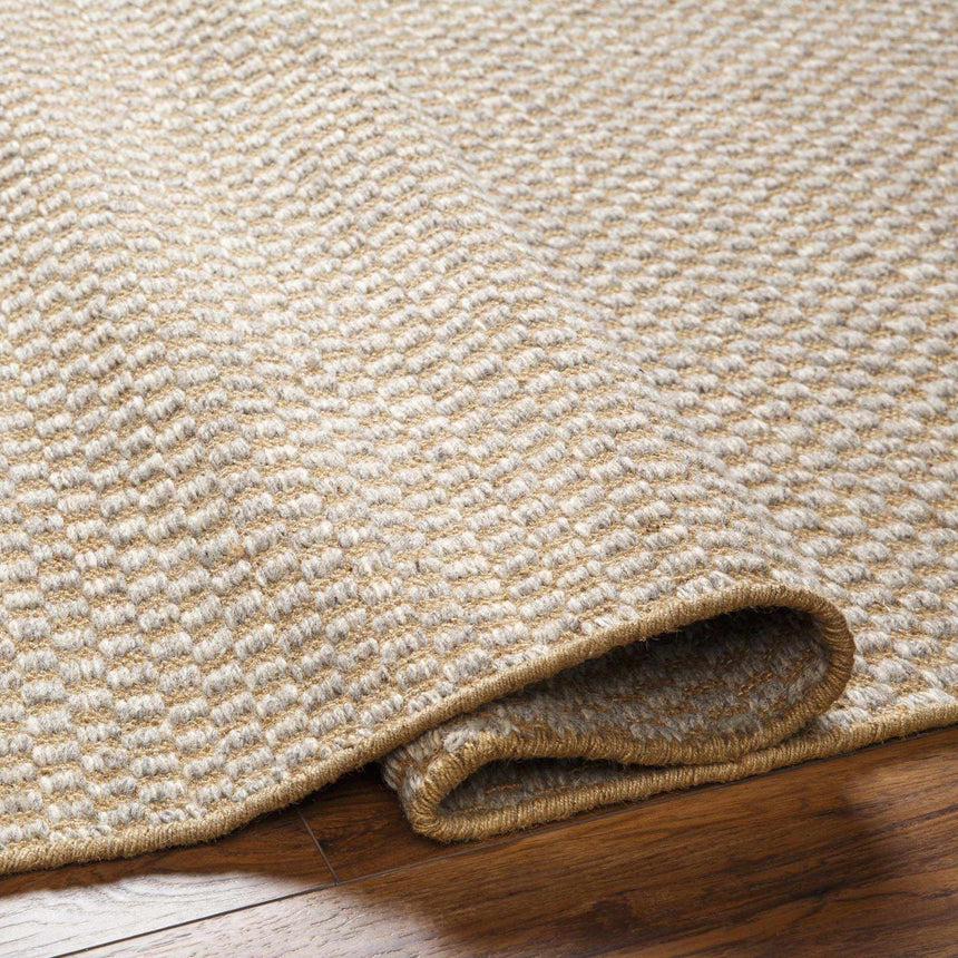 Ayers Beige & Gray Area Rug - Clearance