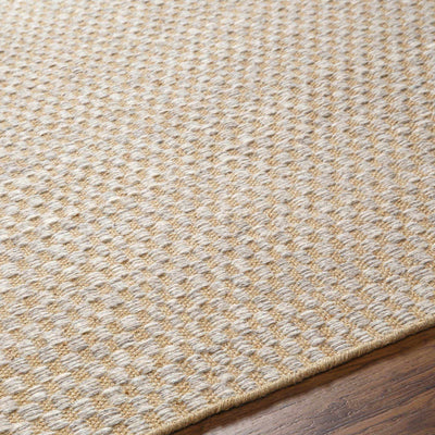 Ayers Beige & Gray Area Rug