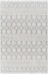 Ankan Textured Saxony Rug with Fringes - Clearance