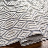 Ankan Textured Saxony Rug with Fringes - Clearance