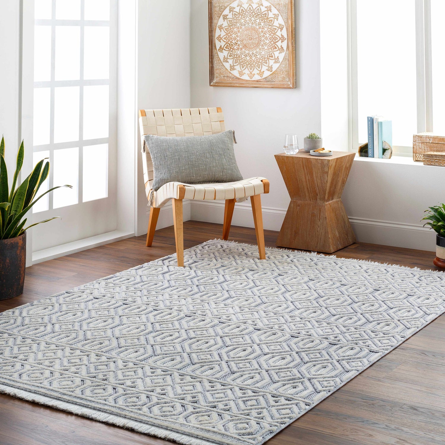 Ankan Textured Saxony Rug with Fringes - Clearance