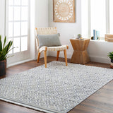 Ankan Textured Saxony Rug with Fringes - Clearance