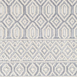 Ankan Textured Saxony Rug with Fringes - Clearance