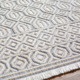 Ankan Textured Saxony Rug with Fringes - Clearance
