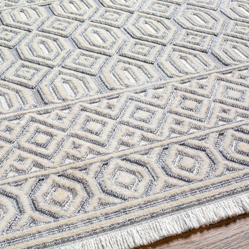 Ankan Textured Saxony Rug with Fringes - Clearance