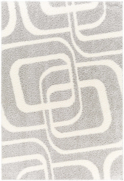 Akoni Gray Area Rug - Clearance