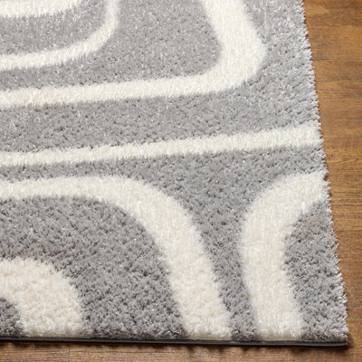 Akoni Gray Area Rug - Clearance