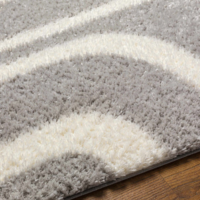 Akoni Gray Area Rug - Clearance