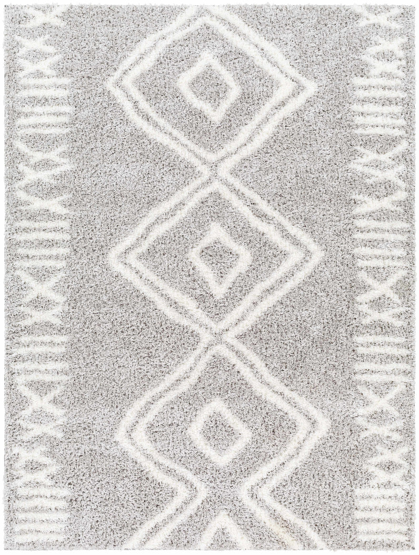 Asael Gray Area Rug - Clearance