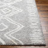 Asael Gray Area Rug - Clearance