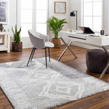 Asael Gray Area Rug - Clearance