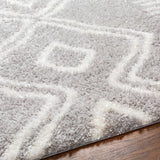 Asael Gray Area Rug - Clearance