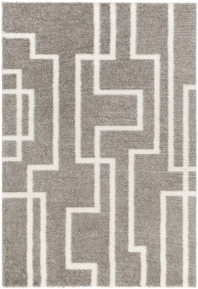 Banu Area Rug - Clearance