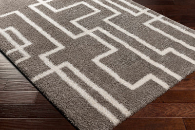 Banu Area Rug - Clearance