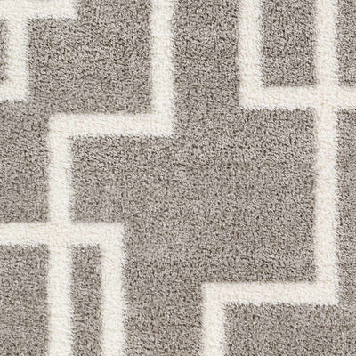 Banu Area Rug - Clearance