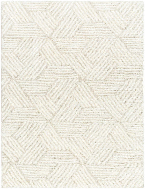 Close-up of the Mura Cream Area Rug. Geometric shag rug in off-white and beige polyester. Design-Rectangle-537