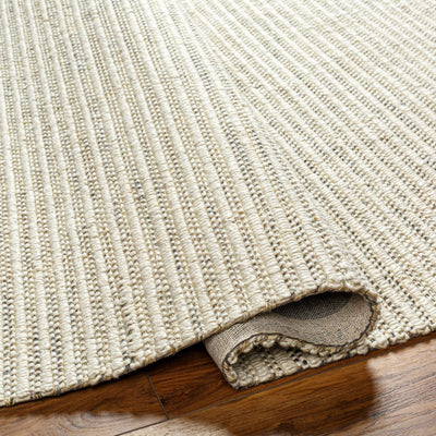 Desma Beige Area Rug