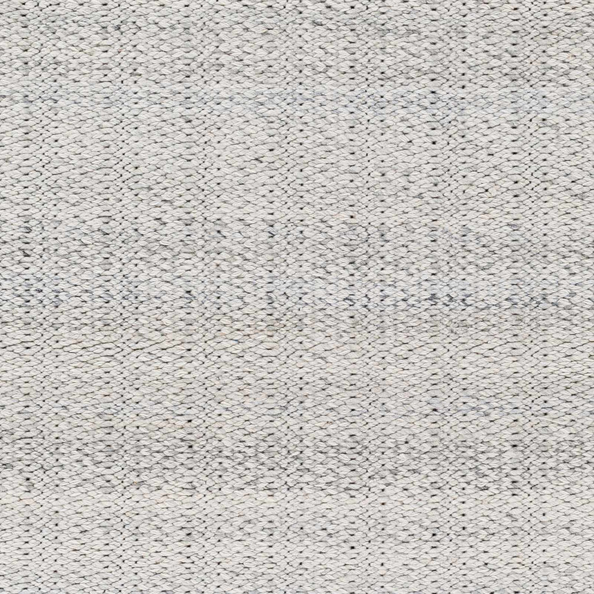 Light Gray Anane Area Rug - Clearance