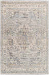 Close-up of the Addax Area Rug, a machine-woven rug in neutral gray, brown, and blue with a traditional, distressed pattern. Design-Rectangle-579
