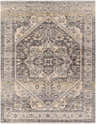 Close-up of the Ailsa Area Rug in dark gray, lambswool, and brown. Traditional, distressed medallion pattern. Design-Rectangle-71010