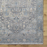 Alina Area Rug - Clearance