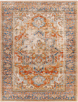 Basim Area Rug - Clearance