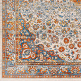 Bojan Area Rug - Clearance