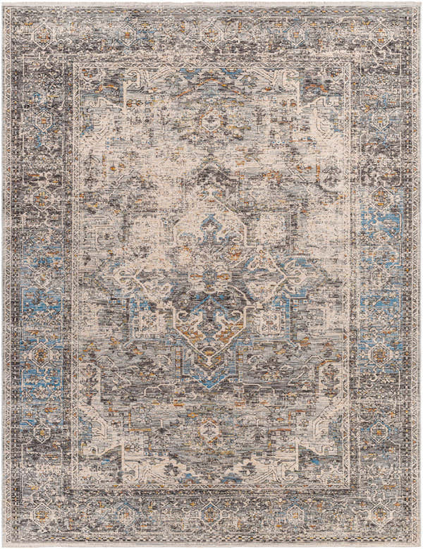 Close-up of the Erela Area Rug featuring a traditional, distressed pattern in clay, gray, and blue tones. Design-Rectangle-71010