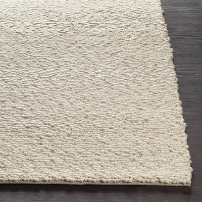 Schoenchen Clearance Rug - Clearance