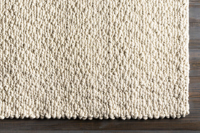 Schoenchen Clearance Rug - Clearance