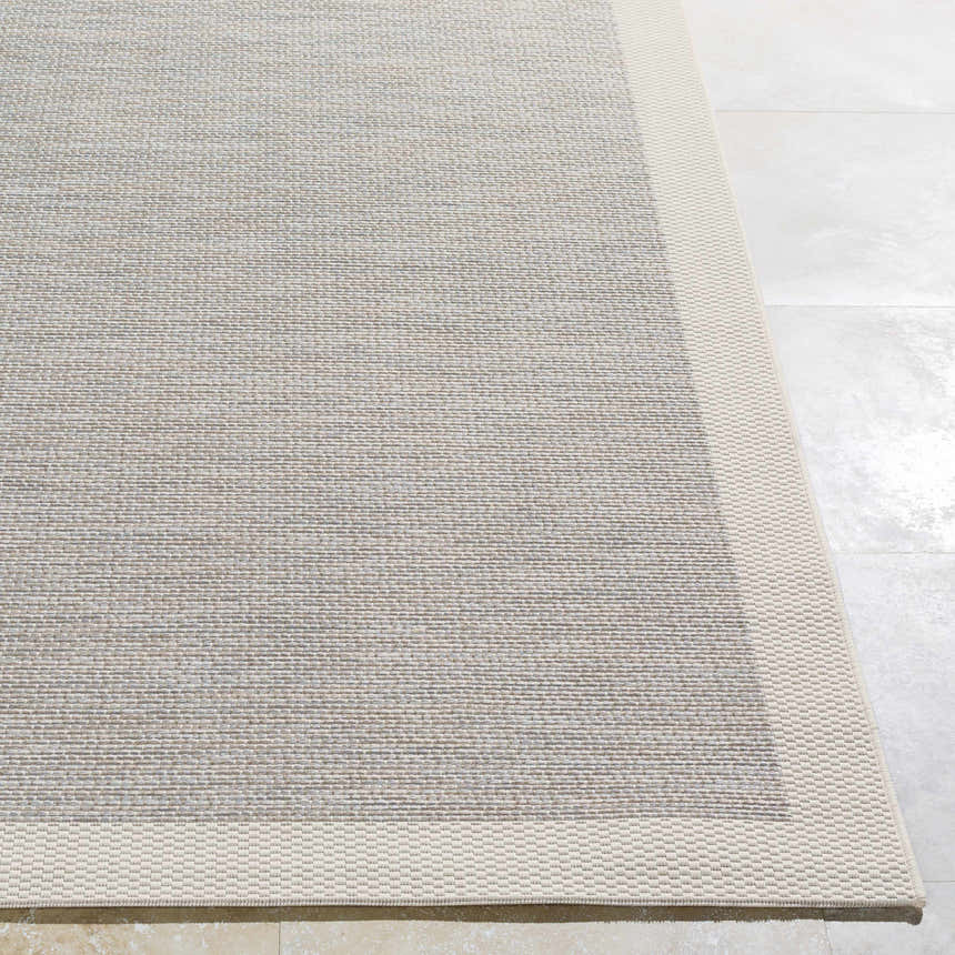 Close up of the Escalon Area Rug in cream and taupe, showing the woven texture and solid border. Front