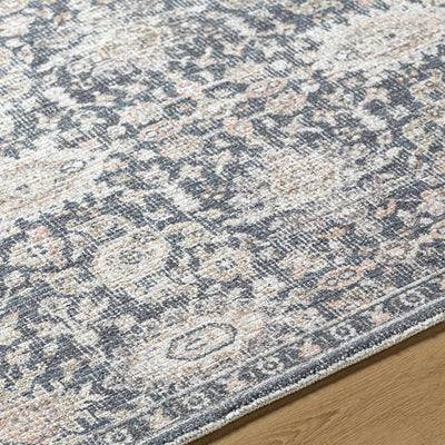 Semaj Area Rug