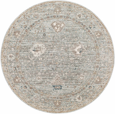 Scole Area Rug