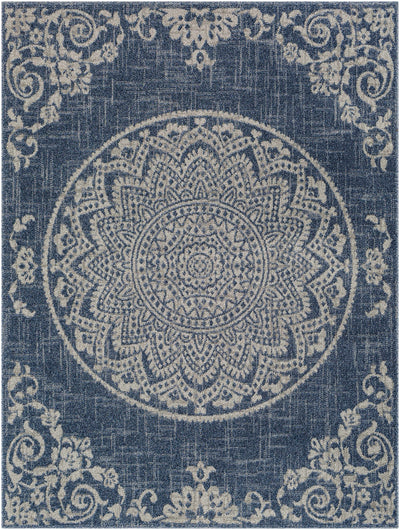 Chapa Blue Area Rug - Clearance