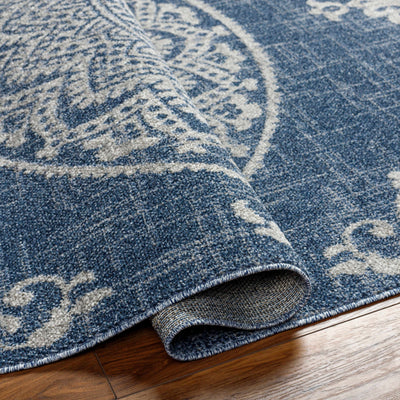 Chapa Blue Area Rug - Clearance