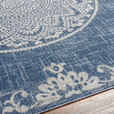 Chapa Blue Area Rug - Clearance