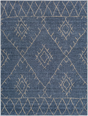 Razo Area Rug - Clearance