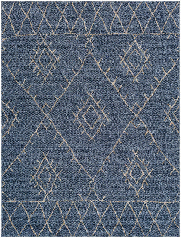 Razo Area Rug - Clearance