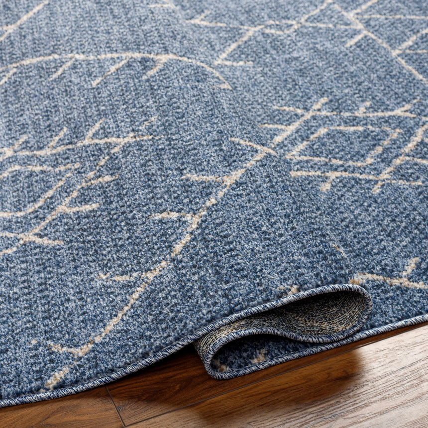 Razo Area Rug - Clearance