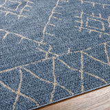 Razo Area Rug - Clearance