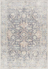 Close-up of the Nyota Area Rug, a traditional vintage style rug with gray, peach, and blue tones. Design-Rectangle-679