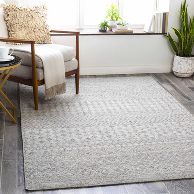 Seafield Flatweave Performance Rug - Clearance